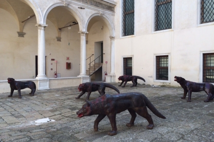 The wolves are coming to Venice